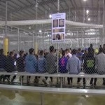 Obispos estadounidenses: Las muertes de inmigrantes “no deben normalizarse”