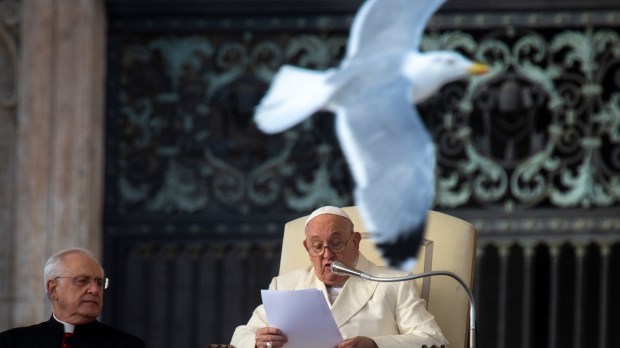 Pope Francis during his weekly general audience in Saint Peter's square at the Vatican