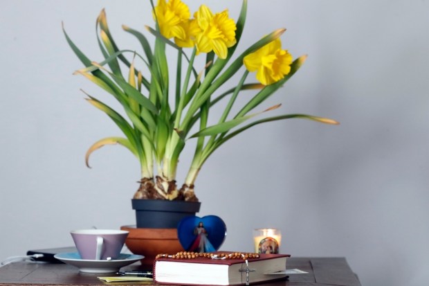 Altar montado em casa, com Bíblia, terço, vela e flores