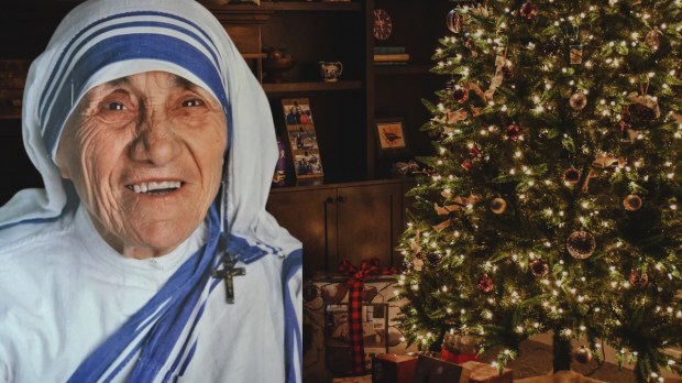 Madre Teresa Navidad