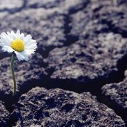 Stickers Item image #2