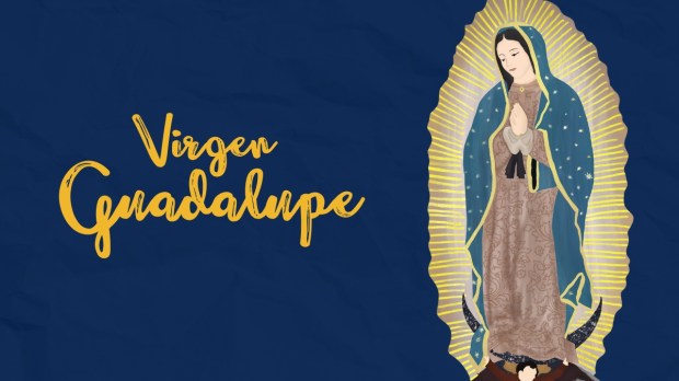Virgen de Guadalupe 12 de diciembre
