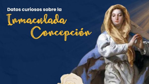 Inmaculada concepción