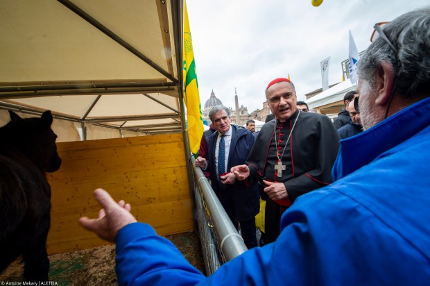 Una pequeña granja en el Vaticano por el día de san Antonio