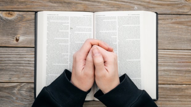 Close-up, christian read Bible