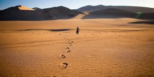 Esta cuaresma ir al desierto para encontrarse con Cristo