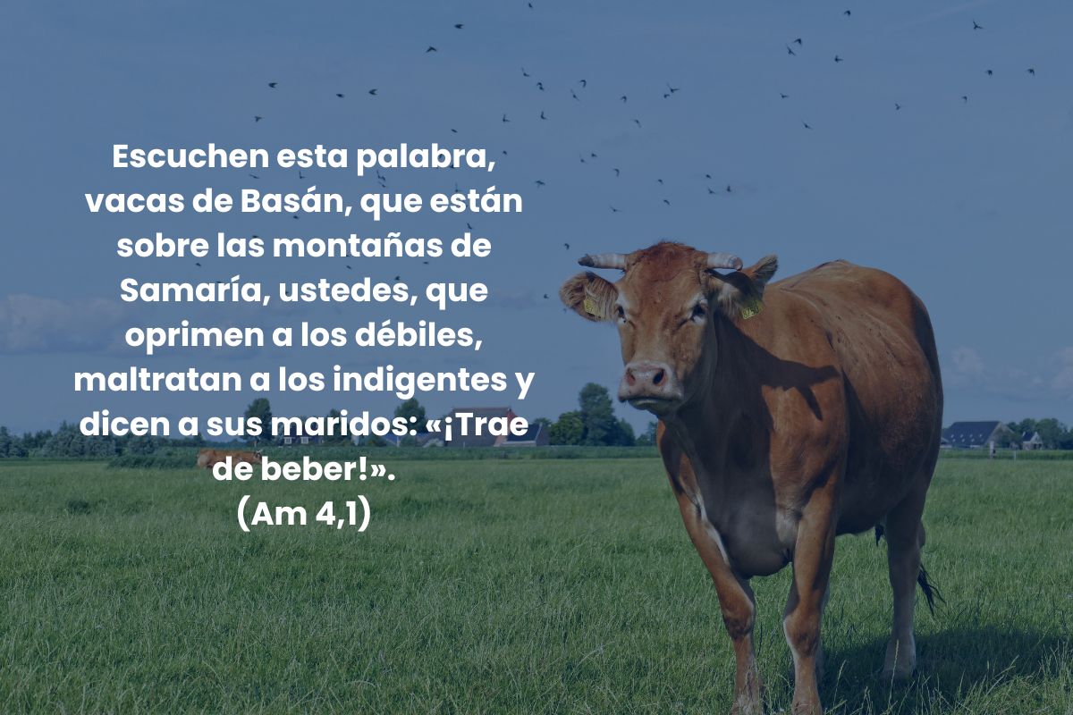 Divertidos insultos que aparecen en la Biblia