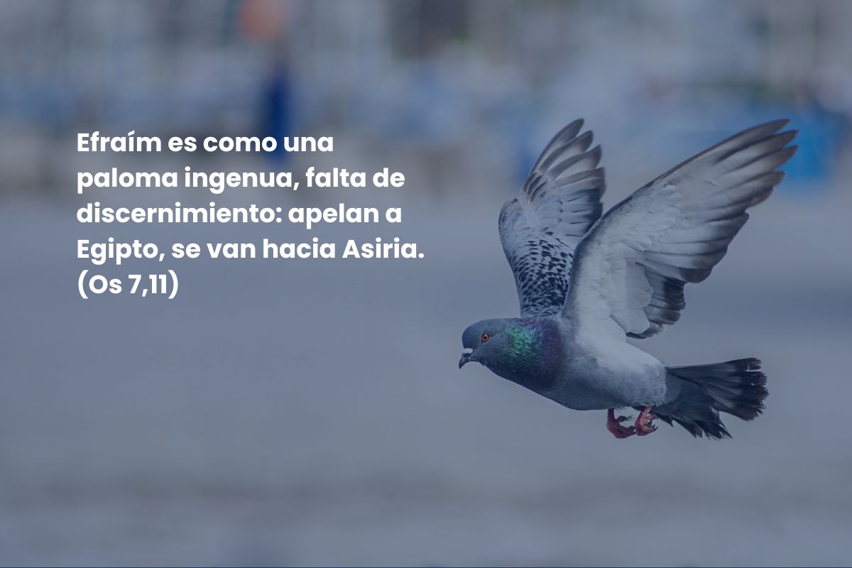 Divertidos insultos que aparecen en la Biblia