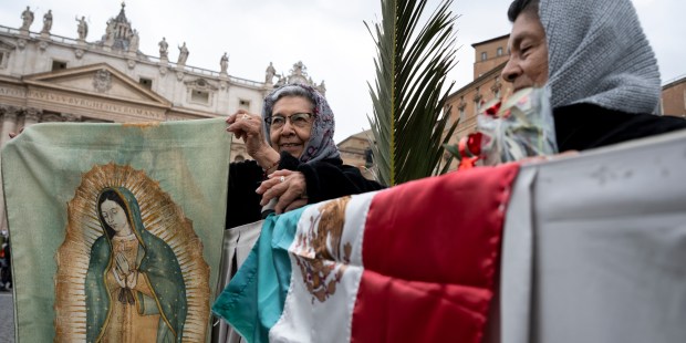 Así fue el Domingo de Ramos en el Vaticano