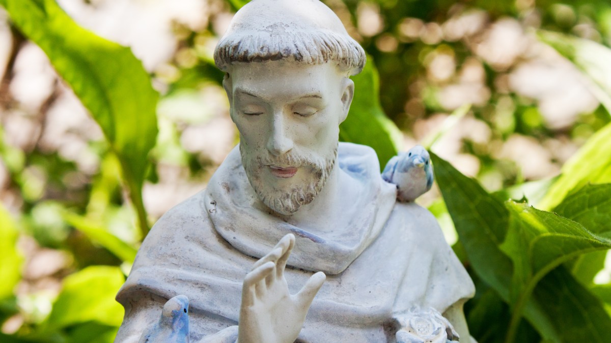 saint-Francois-dAssise.jpg