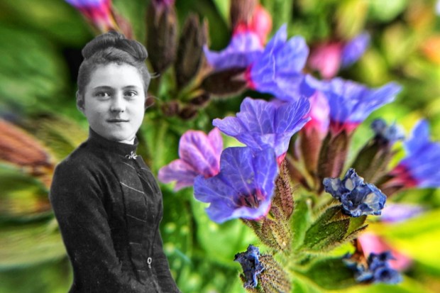 St. Therese of Lisieux against purple flowers