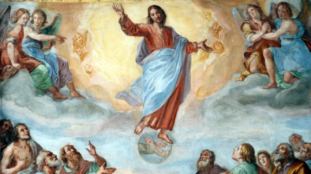 La Ascensión del Señor a los cielos
