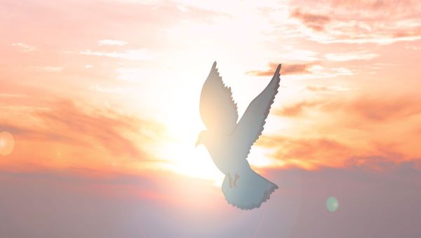 Personas transformadas por el Espíritu Santo