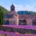 ¿Qué diferencia hay entre abadía, monasterio y convento?