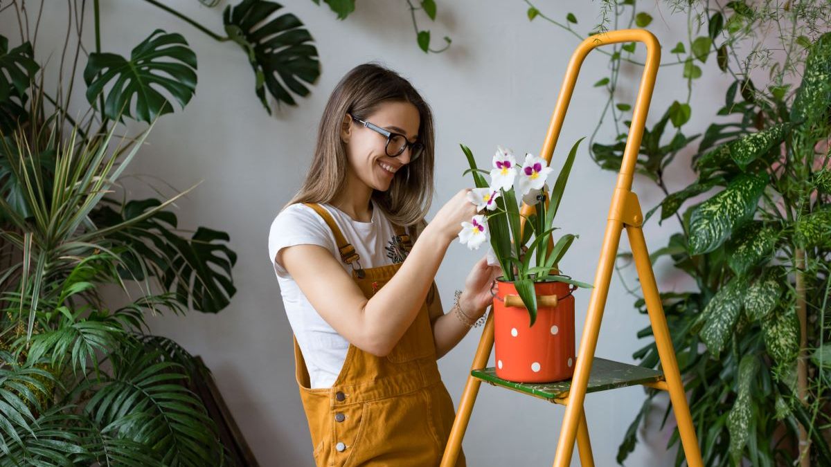 Jardinería - hobbie