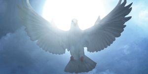 6 formas creativas de celebrar Pentecostés este domingo