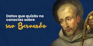 (VIDEO) Datos que quizás no conocías sobre san Bernardo