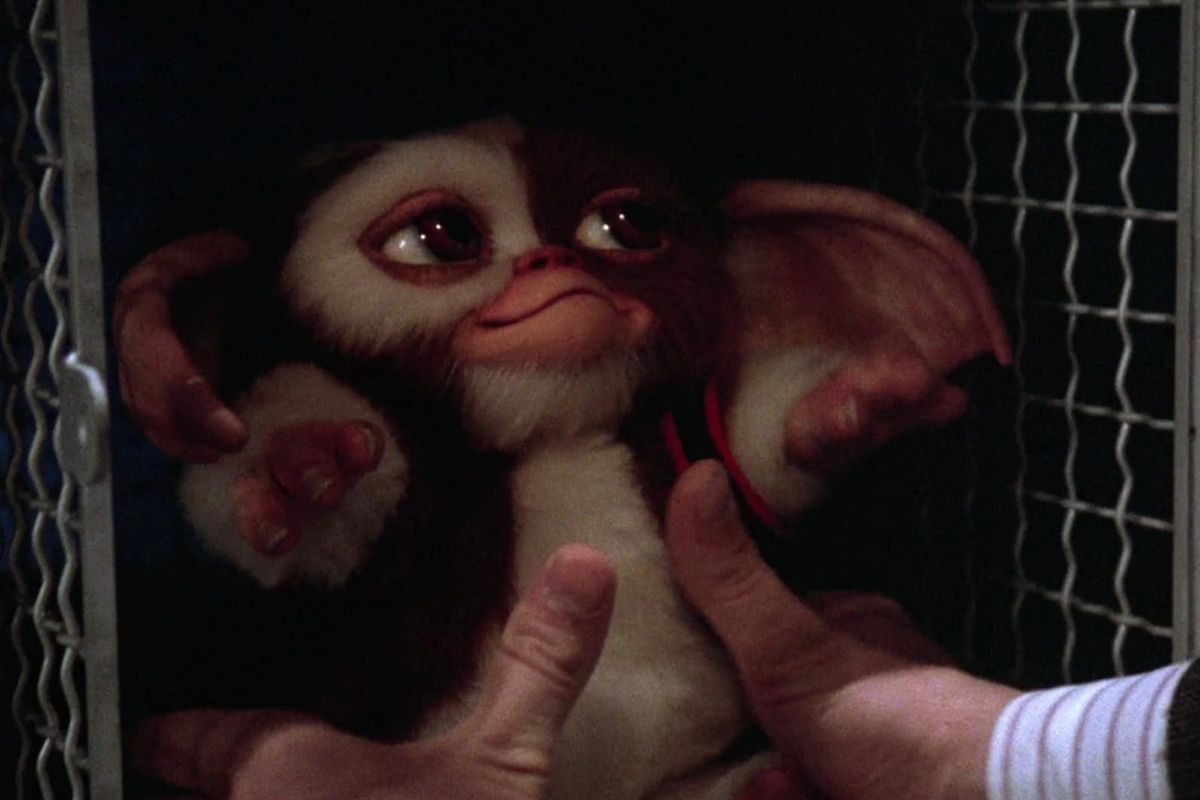 película gremlins