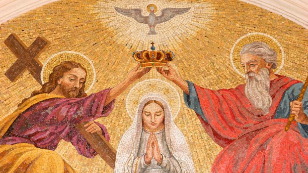 Devica Marija Kraljica