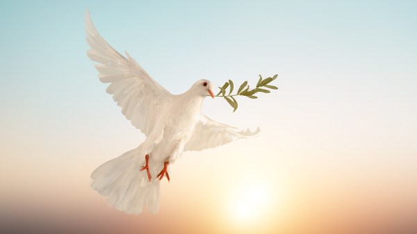 Dove Olive Branch