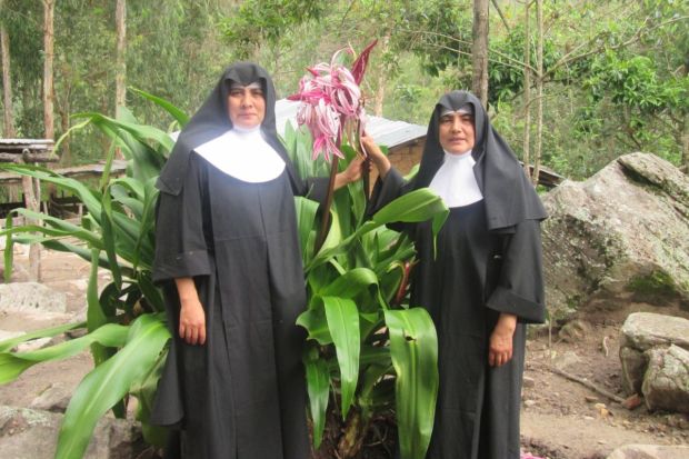 sor Zulema, Hermanitas de los ancianos desamparados cuidado de personas mayores