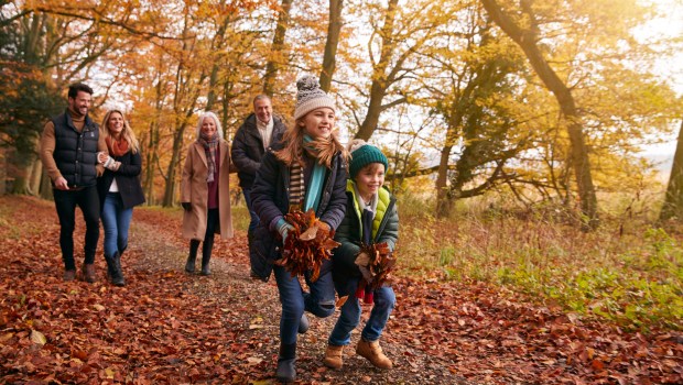 BALADE-FAMILLE-FORET-shutterstock