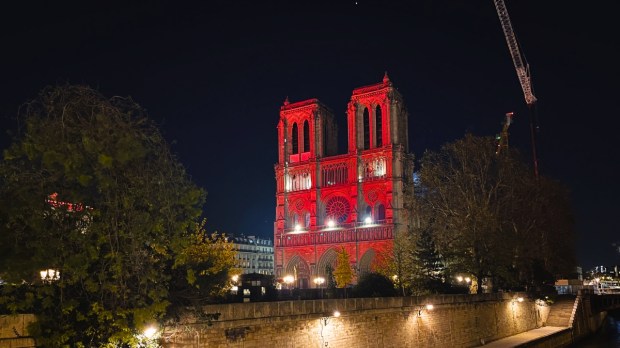 Notre Dame de Paris Red Week