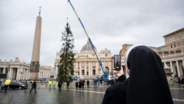 VATICAN-CHRISTMAS-TREE-2024