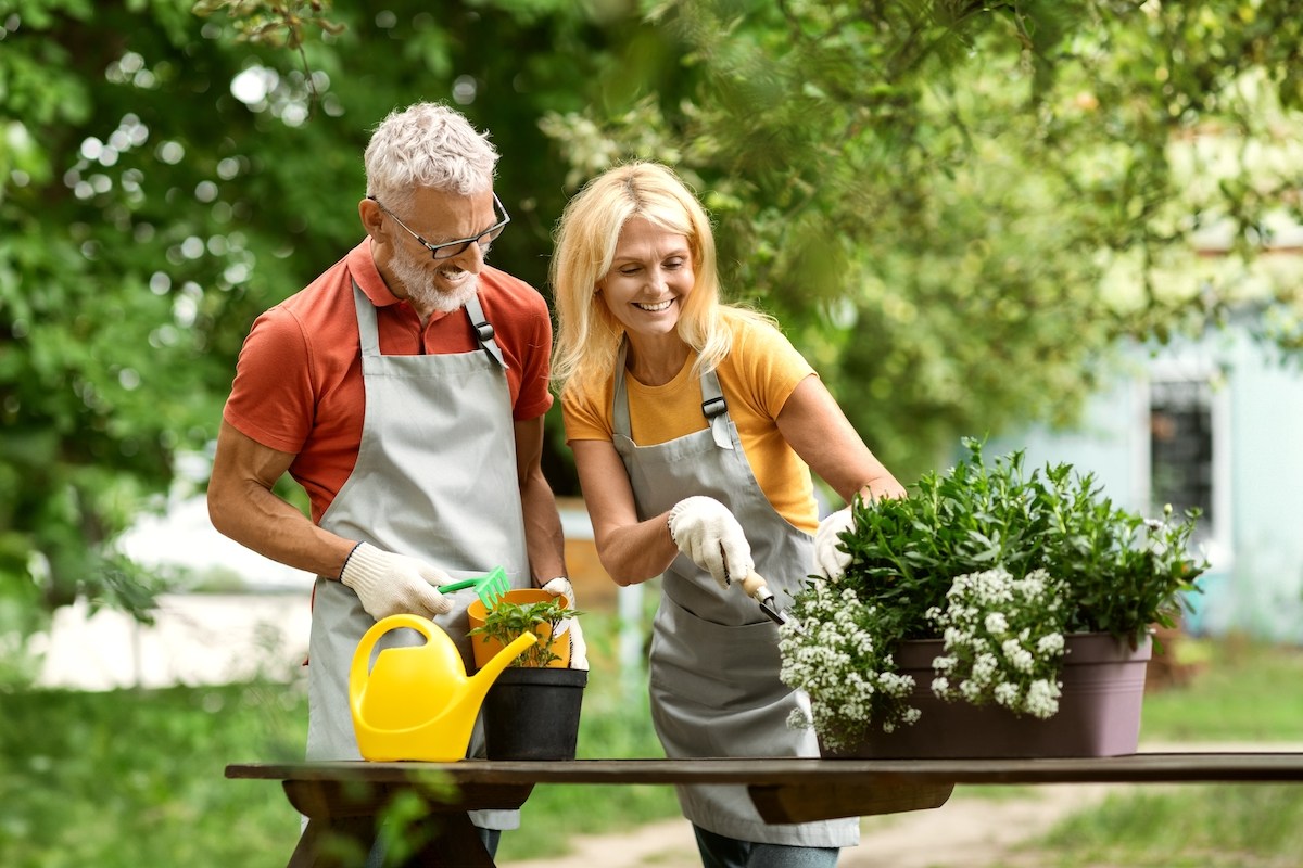 jardinería