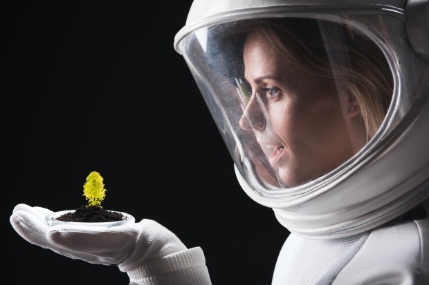 jardinería en el espacio