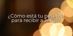 (VIDEO) ¿Cómo está tu pesebre para recibir a Jesús?