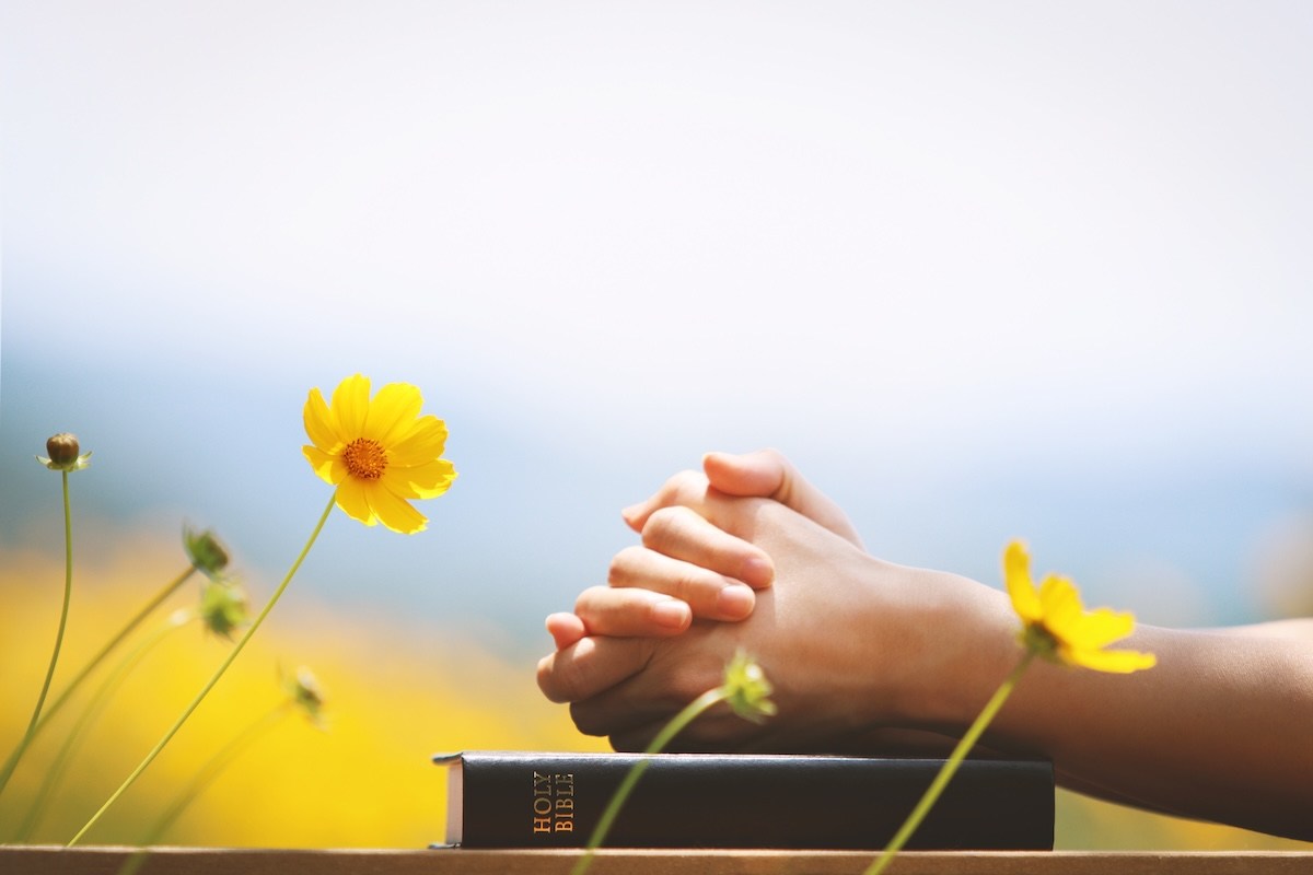 Bible prayer spring hope