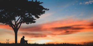 ¿Qué significan los árboles mencionados en la Biblia?