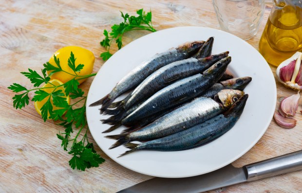 sardines dish lemon
