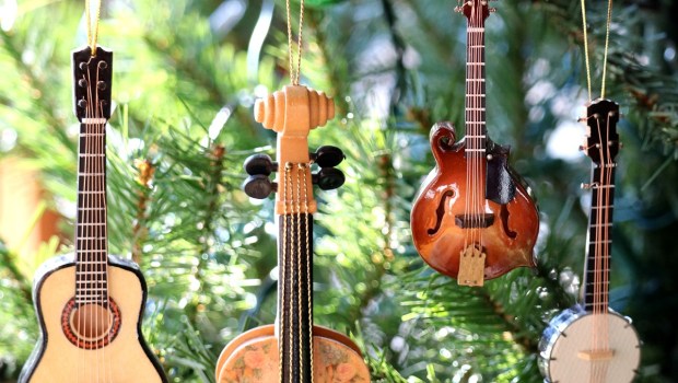 Acoustic instrument ornaments