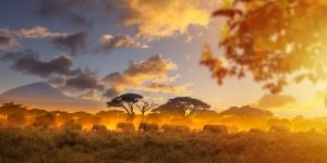 ¿Sabías que el orden es resultado de la presencia de Dios?