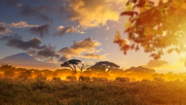 En el orden está Dios