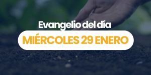 (VIDEO) Evangelio del día &#8211; 29 enero 2025