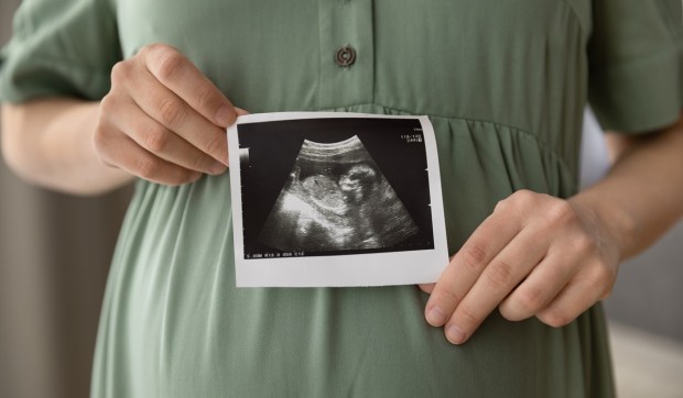 Corner Hero Image - Después de que León XIV denunciara la subrogación, Chile da pasos para prohibirla