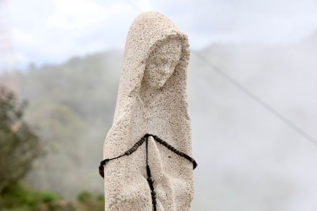 estrella de mar