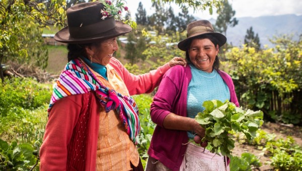 manos unidas campaña ong