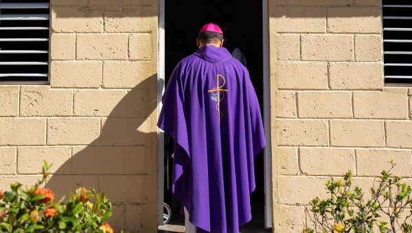 ACN república dominicana