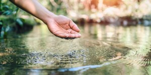 El agua: de un derecho universal a un producto mercantil