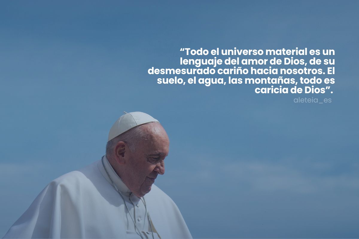 pope francis phrase