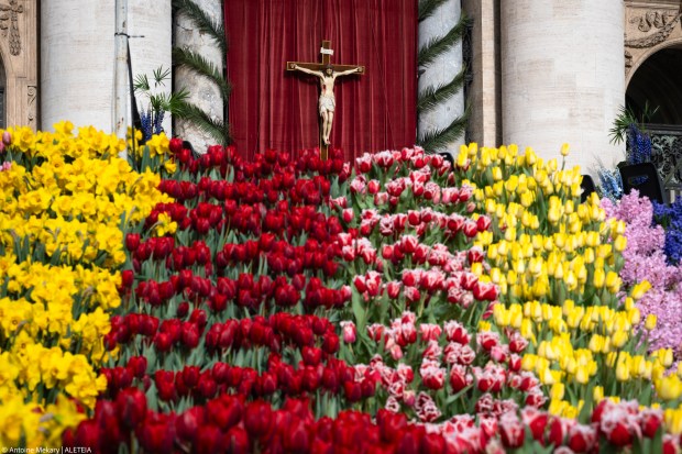 Flowers in St. Peter’s Square for Holy Week
