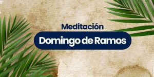 (VIDEO) Domingo de Ramos: Meditación