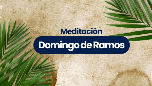 Corner Item Image - (VIDEO) Domingo de Ramos: Meditación