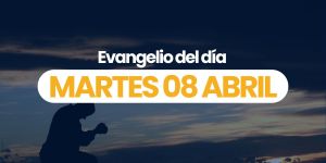 (VIDEO) Evangelio del día – 08 abril 2025