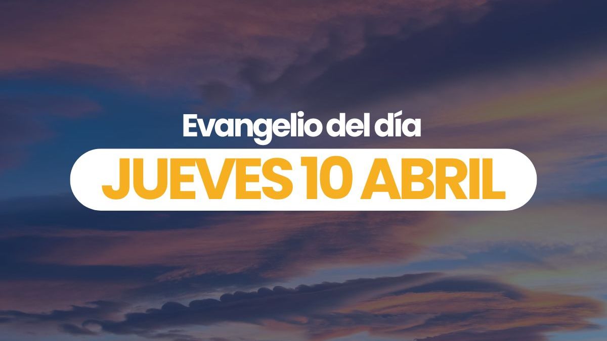 Videos-Evangelios