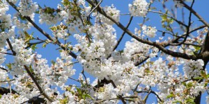 Tienes todas estas razones para ser feliz en abril